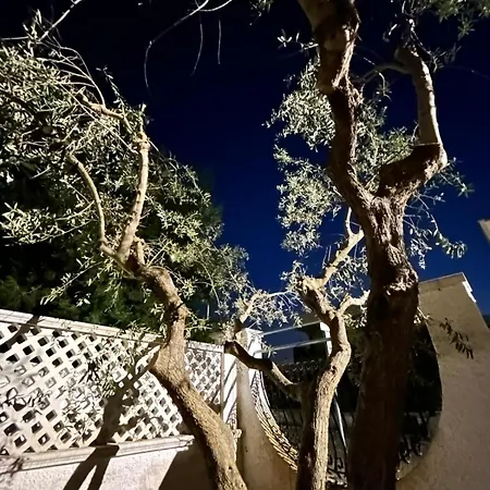 Orsa Maggiore - A Pochi Passi Dal Mare *